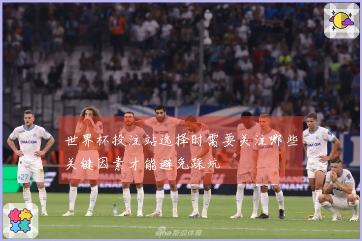 世界杯投注站选择时需要关注哪些关键因素才能避免踩坑