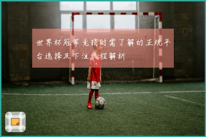 世界杯冠军竞猜时需了解的正规平台选择及下注流程解析