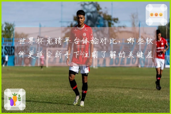 世界杯竞猜平台体验对比，哪些软件更适合新手下注前了解的关键差异？