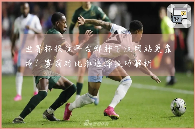 世界杯投注平台哪种下注网站更靠谱？赛前对比和选择技巧解析