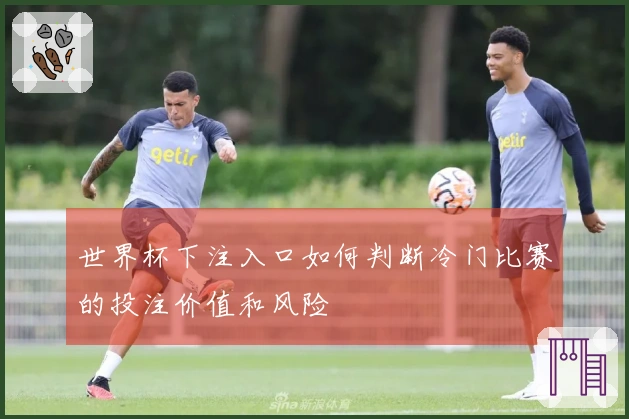 世界杯下注入口如何判断冷门比赛的投注价值和风险