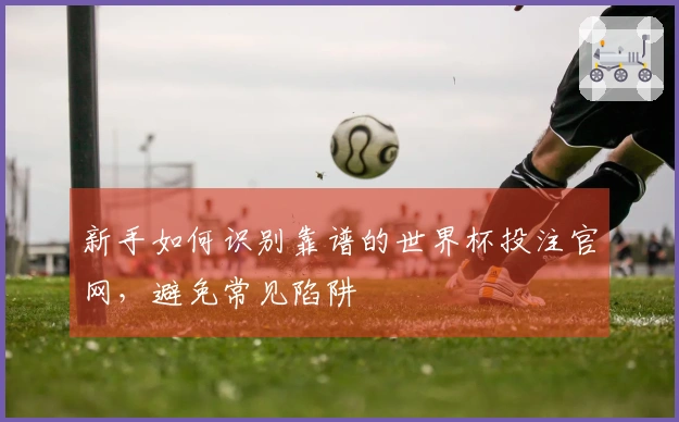 新手如何识别靠谱的世界杯投注官网,避免常见陷阱