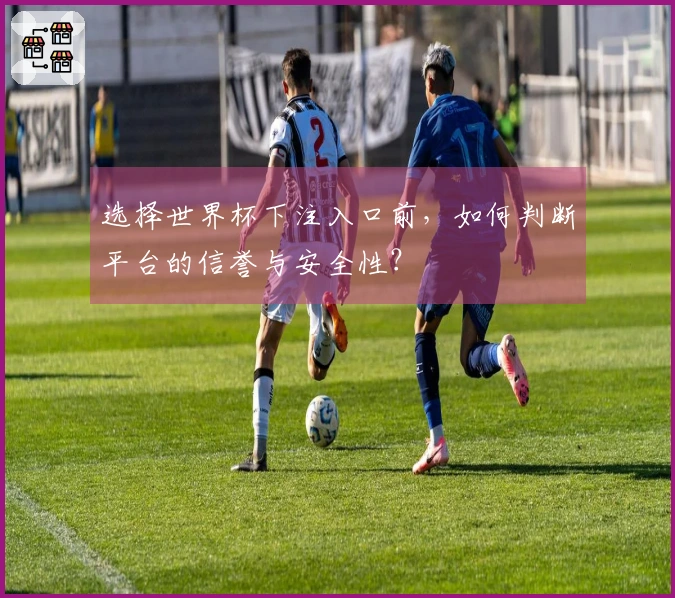 选择世界杯下注入口前,如何判断平台的信誉与安全性?