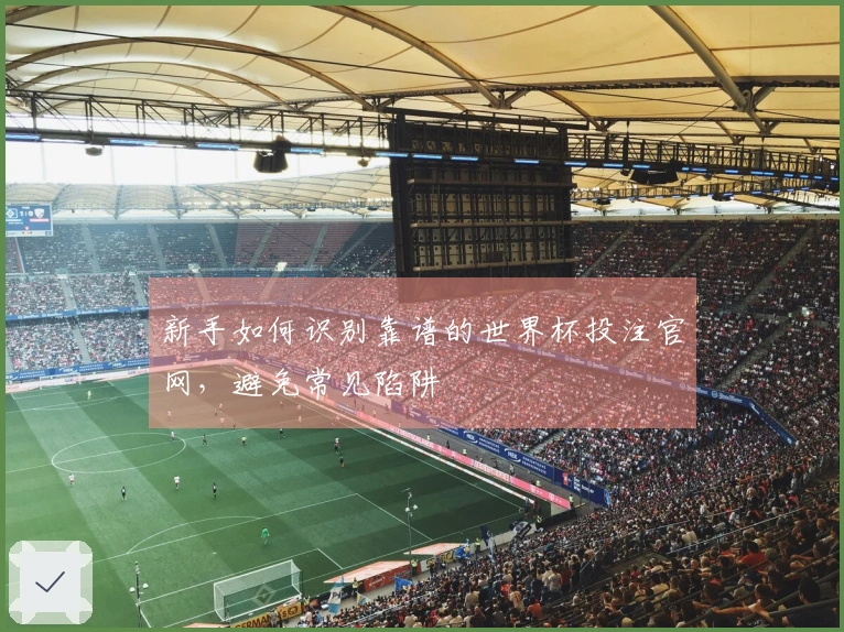 新手如何识别靠谱的世界杯投注官网，避免常见陷阱