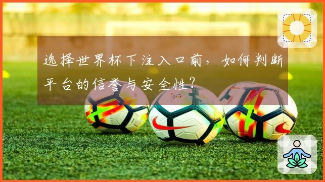 选择世界杯下注入口前，如何判断平台的信誉与安全性？