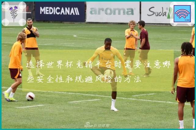 选择世界杯竞猜平台时需要注意哪些安全性和规避风险的方法