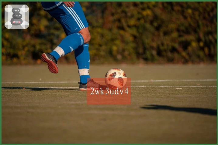 2wk3udv4