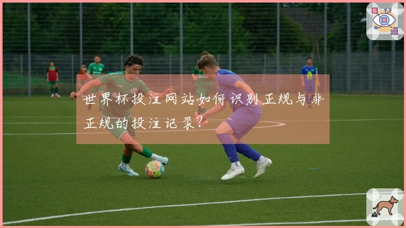 世界杯投注网站如何识别正规与非正规的投注记录?