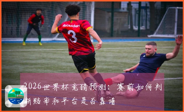2026世界杯竞猜预测：赛前如何判断赔率和平台是否靠谱