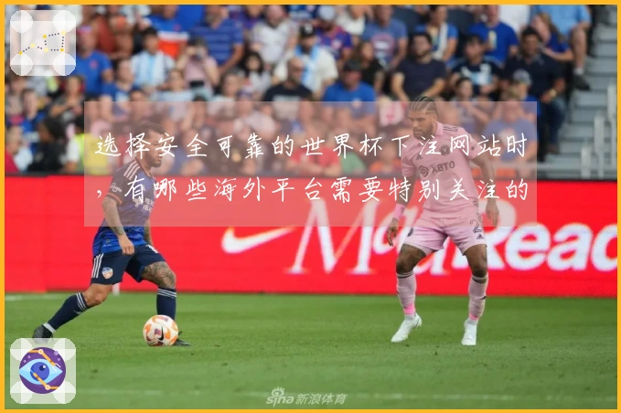 选择安全可靠的世界杯下注网站时，有哪些海外平台需要特别关注的风险？
