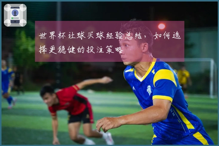 世界杯让球买球经验总结，如何选择更稳健的投注策略