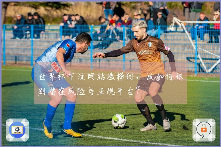 世界杯下注网站选择时,该如何识别潜在风险与正规平台?