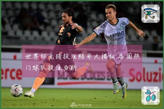 世界杯竞猜投注赔率大揭秘 各国热门球队投注分析