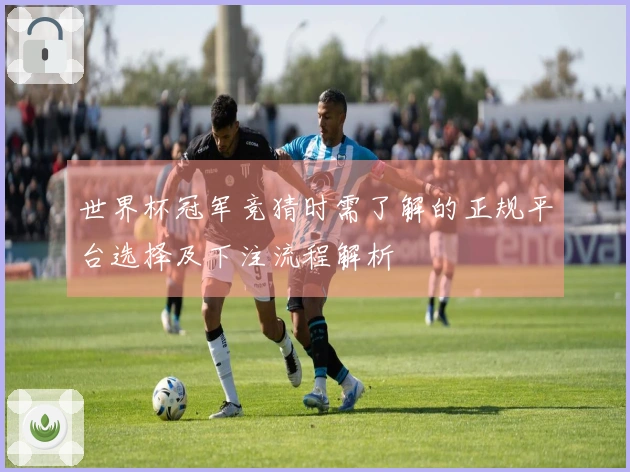世界杯冠军竞猜时需了解的正规平台选择及下注流程解析