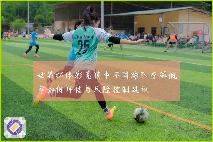 世界杯体彩竞猜中不同球队夺冠概率如何评估与风险控制建议