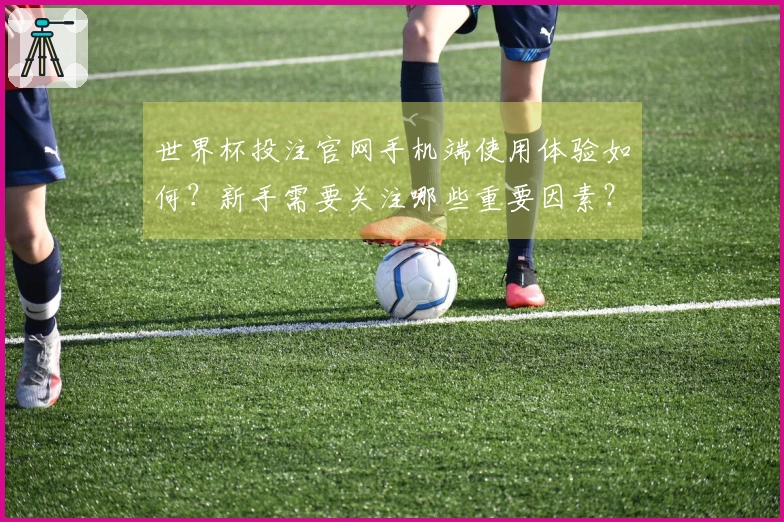 世界杯投注官网手机端使用体验如何?新手需要关注哪些重要因素?