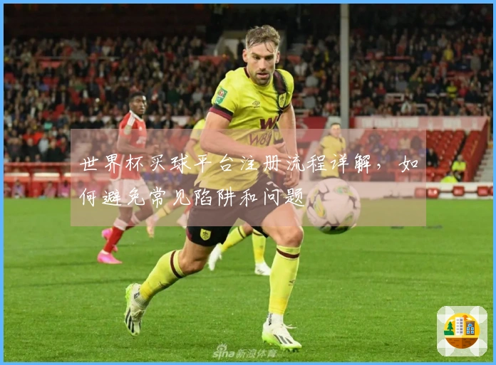 世界杯买球平台注册流程详解，如何避免常见陷阱和问题