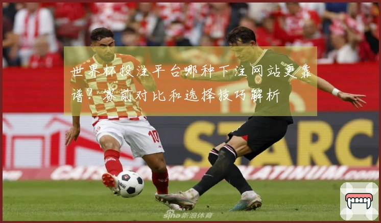 世界杯投注平台哪种下注网站更靠谱?赛前对比和选择技巧解析