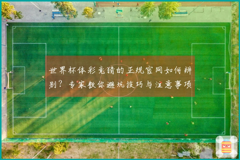 世界杯体彩竞猜的正规官网如何辨别？专家教你避坑技巧与注意事项