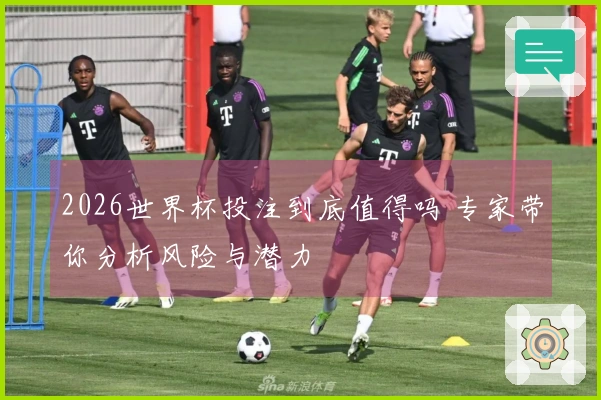 2026世界杯投注到底值得吗 专家带你分析风险与潜力