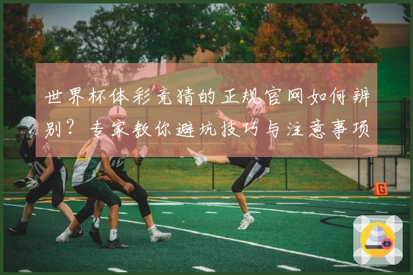 世界杯体彩竞猜的正规官网如何辨别?专家教你避坑技巧与注意事项
