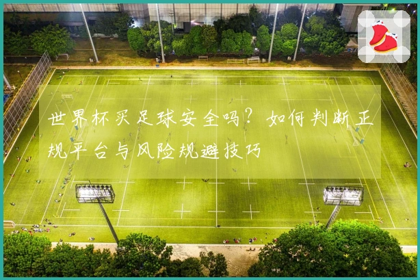世界杯买足球安全吗？如何判断正规平台与风险规避技巧