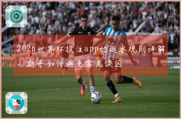 2026世界杯投注app的返水规则详解，新手如何避免常见误区