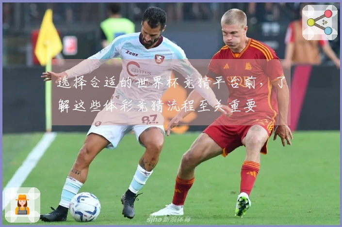 选择合适的世界杯竞猜平台前,了解这些体彩竞猜流程至关重要