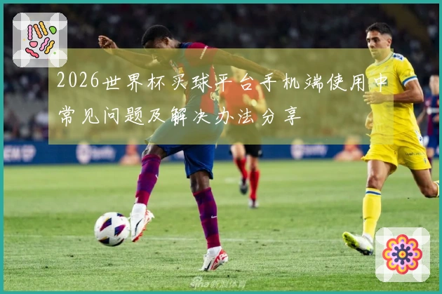 2026世界杯买球平台手机端使用中常见问题及解决办法分享